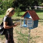 Bücherflohmarkt im Park
