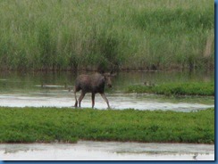 IMG_2059 IMG_2059