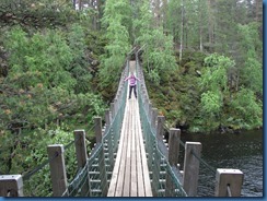IMG_2157 IMG_2157